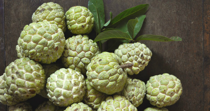 Buy Custard Apple plants in kanyakumari