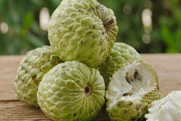 Custard Apple plants in Nanjil Nursery